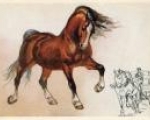 Новости Центральной библиотеки: литературная беседа «Лошадь - символ года»