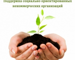 Сообщение Минсоцразвитие Мурманской области_О мониторинге социально ориентированных некомерческих организаций