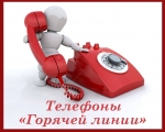 Информация о телефонах «горячей линии» по вопросам оказания услуг по обращению с твердыми коммунальными отходами (ТКО).
