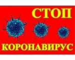 Корановирус: без паники! Справочное руководство