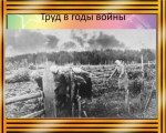 Комитет молодежной политики Мурманской области