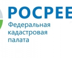 В Управлении Росреестра по Мурманской области подвели итоги уходящего 2020 года
